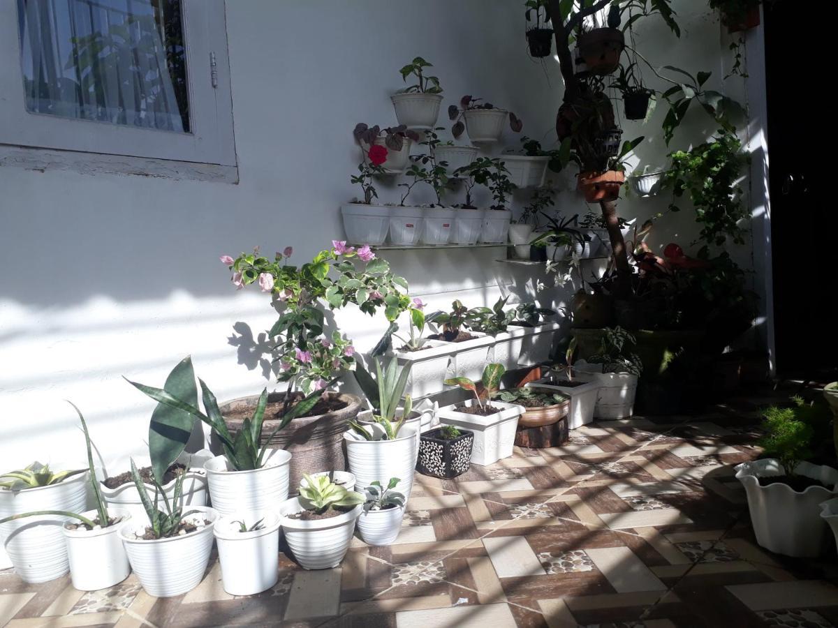 Bumimi Homestay Painan Dış mekan fotoğraf