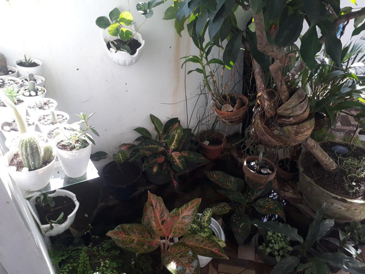 Bumimi Homestay Painan Dış mekan fotoğraf